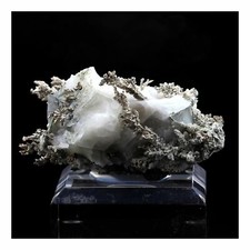 Argent natif. 781.0 ct. Imiter Mine, Drâa-Tafilalet, Maroc.