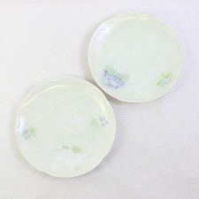 Set 2 Ancien Main Peint J&c Louise 'Bavaria' Porcelaine Dîner Assiettes 24.8cm