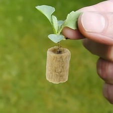 Laine de roche cylindrique