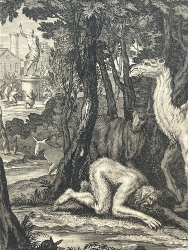 Gravure ancienne roi - gravure,