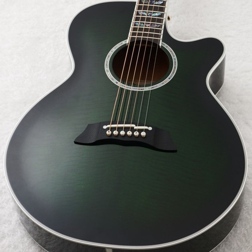 Takamine fpt181ac sgs - /,