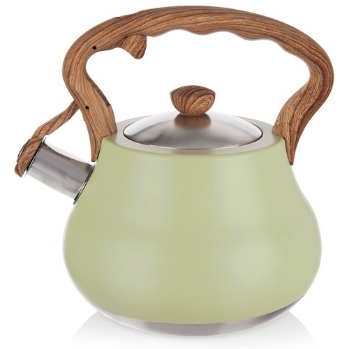 Bouilloire sifflante acier - bouilloire, en