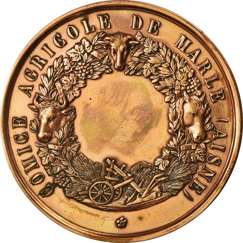 France médaille comice - france,, médaille,