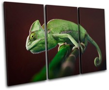 Gekko Wildlife Abstract TREBLE