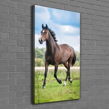 Tulup Tableau Sur Toile Image Imprimé 60x120 - Cheval sur le terrain