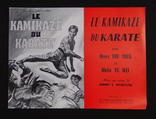 Kamikaze karate photo - kamikaze, du