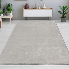 Tapis argent moderne élégant