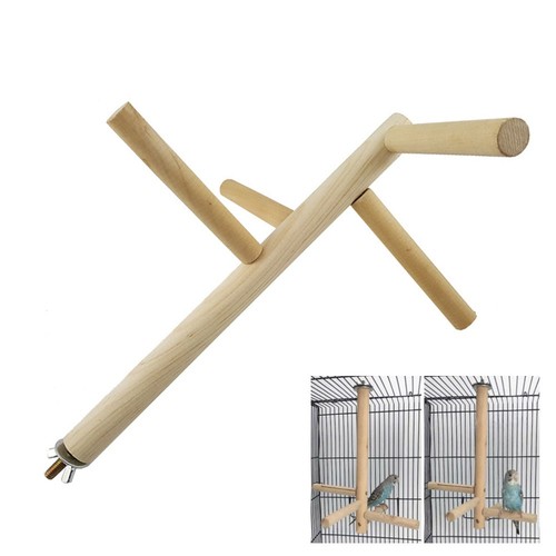 Perroquet perruche cage - , à