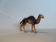 STARLUX préhistoire ref