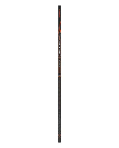 Canne fixe astore pole - fixe, x