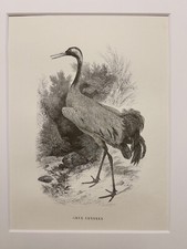 ANCIENNE GRAVURE SUR ACIER