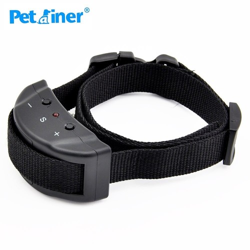 Collier anti aboiement - anti-aboiement, chien