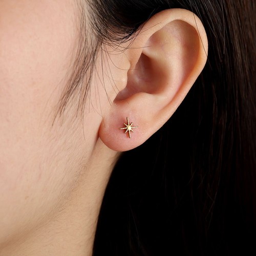Puces oreilles étoile du - d'oreilles,
