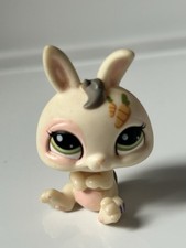 petshop lapin nain 1855