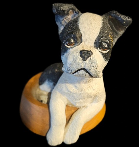 Boston terrier in - terrier, (brindle)