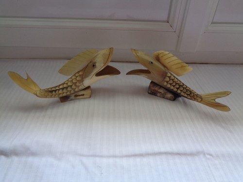 Poissons corne de bovin - poissons,