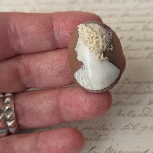 Camee coquillage ancien - coquillage,