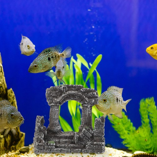 Ornement aquarium modèle - ornement,