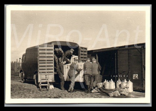 Photo ww2 animaux de - ww2,,