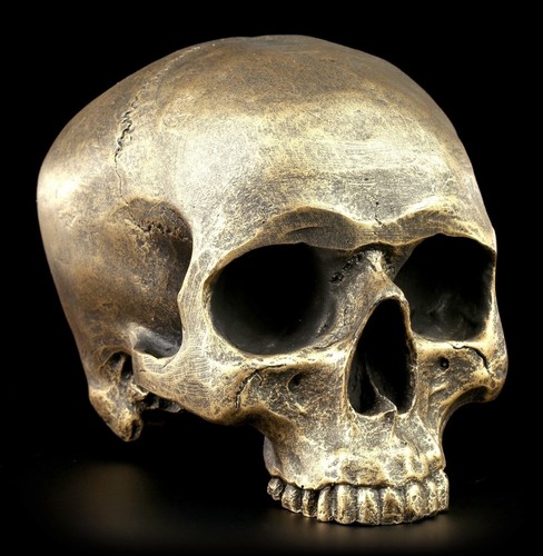 Totenkopf sans mâchoire - sans,