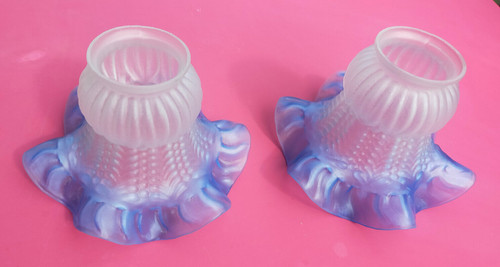 Deux tulipes bleu anciennes - , en