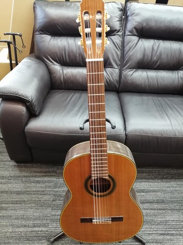 Guitare classique takamine - guitare,