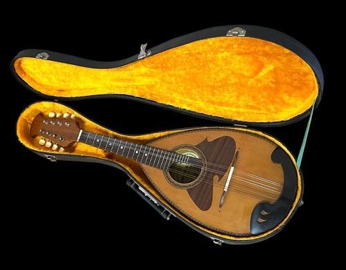 Suzuki mandoline vintage - suzuki,