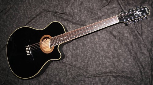 Electric acoustic guitar - acoustic,