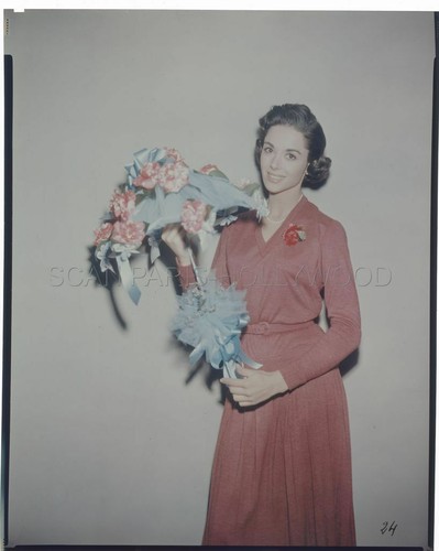 Dana wynter 1950s vintage - dana,