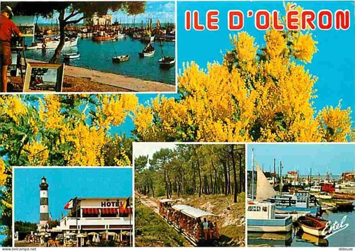 Carte postale ile - postale,
