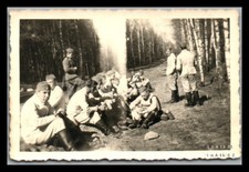 Photo, WW2, ouvriers en triangle, construction de chemins dans la forêt de bo...