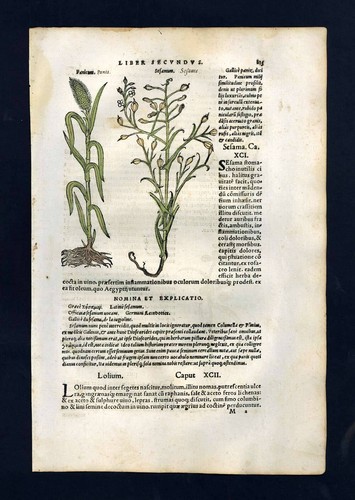 Gravure estampe illustration