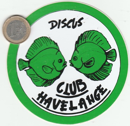 Autocollant discothèque - autocollant,