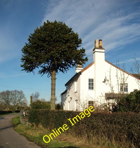Photo 12x8 malthouse lane - photo,