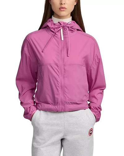 Nwt canada goose - goose, cropped