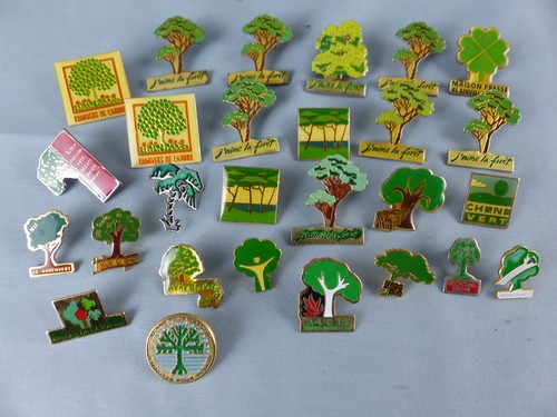 Lot pins fondation - lot, de