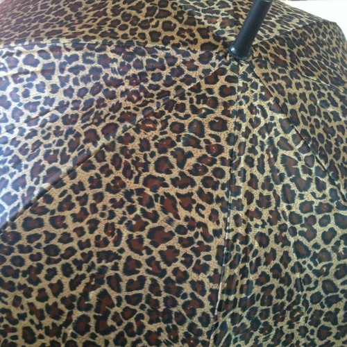 New moda animal print - moda,