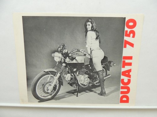 Vintage ducati 750 bevel - vintage,