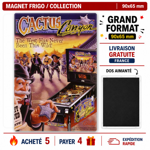 Magnet flyer pinball - flyer,