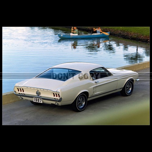 Photo 011404 ford mustang gt - mustang,
