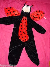 Costume coccinelle 104 - costume,