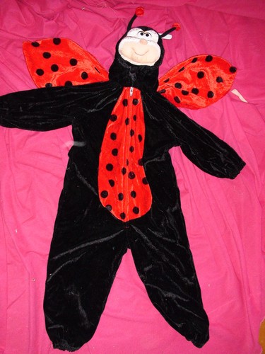 Costume coccinelle 104 - costume,