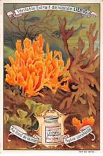 Chromos.AM15082.6x9 cm