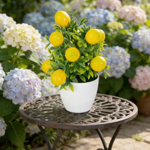 Pot plastique avec mousse - pot,