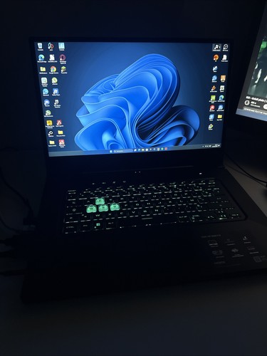 Portable gamer - pc,