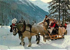 Animaux - Chevaux - Promenade en traineau - Hiver - Neige - Horses - Pferde - CP