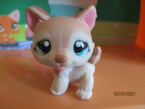 Petshop chien husky 1012 - chien, #1012