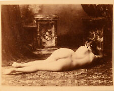 Albumine sur carton, Nu