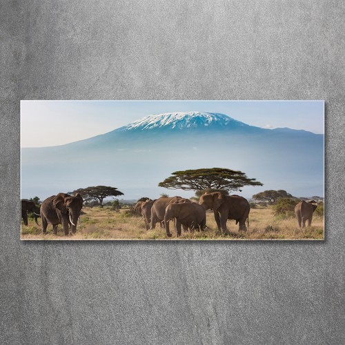 Tulup image sur verre - verre, trempé