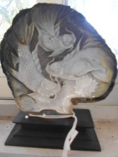 nacre sculptè carpe koi